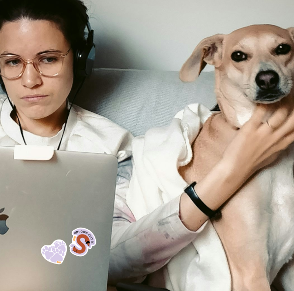 Sticker "Mon chien c'est le S"